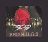Lowongan Kerja Management Trainee di PT. Bugs Group