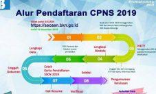 Alur Pendaftaraqn Cpns 2019 23232