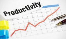 Productivity