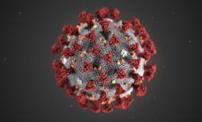 Virus Covid 2019