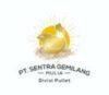 Lowongan Kerja TSSR (Technical Sales & Representatif) – Sales di PT. Sentra Gemilang Mulia