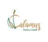 Lowongan Kerja Admin Social Media & WEB di PT. Calamus Rotana Cattail