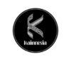 Lowongan Kerja Fotografer / Videografer – Content Creator – Advertiser Meta – Desainer Grafis di Kainnesia