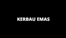 Lowongan Kerja Admin Partime – Pramuniaga Freelance di Kerbau Emas - Yogyakarta