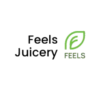 Lowongan Kerja Ketua Operasional – Staff Produksi & Operasional Toko di Feels Juicery