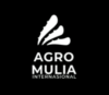 Lowongan Kerja Content Creator – Sosial Media Desain – Live Talent Tiktok & Shopee di PT. Agro Mulia Internasional