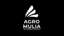 Lowongan Kerja Content Creator – Sosial Media Desain – Live Talent Tiktok & Shopee di PT. Agro Mulia Internasional - Jakarta