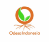 Lowongan Kerja Admin – Admin Website di Yayasan Odesa Indonesia